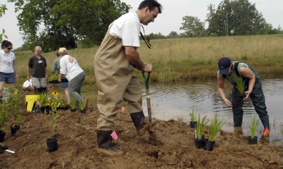 People_in_waders_and_boots_working_to_restore_a_pond