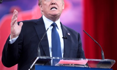 Donald_Trump_by_Gage_Skidmore_3_(cropped)